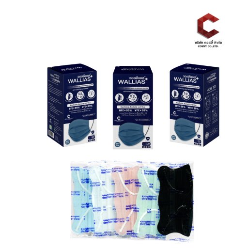 Wallias Medical Mask in Morandi colors